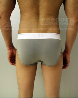 Brief Harness
